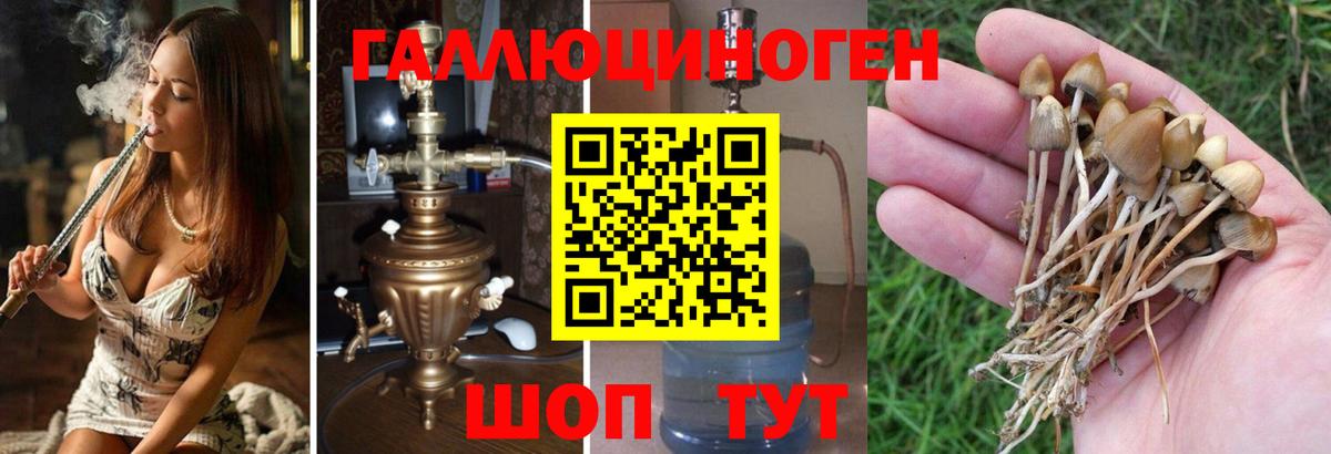 Псилоцибиновые грибы прущие грибы  наркотики  Чапаевск  Вход с VPN 